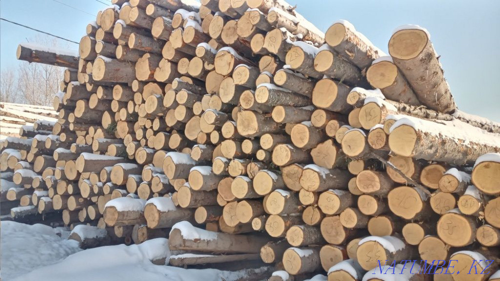 Timber satylada Ust-Kamenogorsk - photo 1