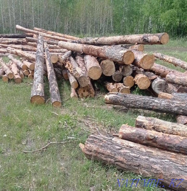 Продам доску кругляк сосна  - изображение 1