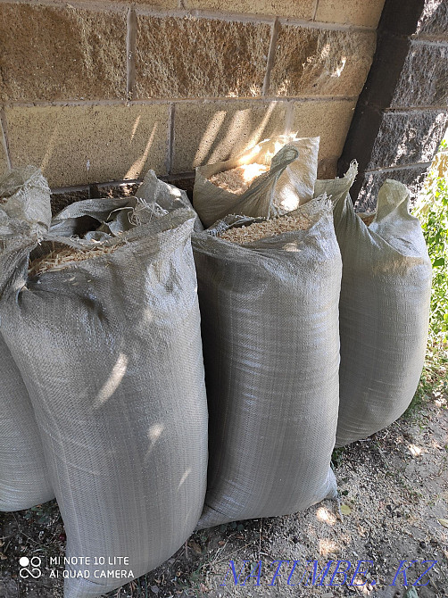 sawdust pine tree Almaty - photo 1