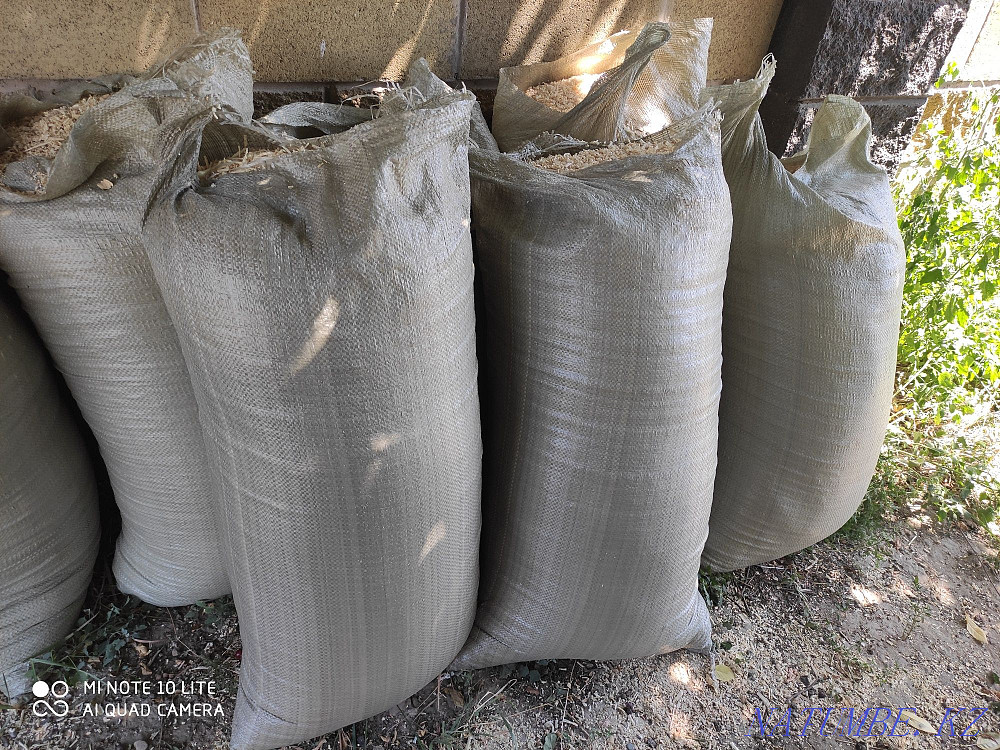 sawdust pine tree Almaty - photo 2