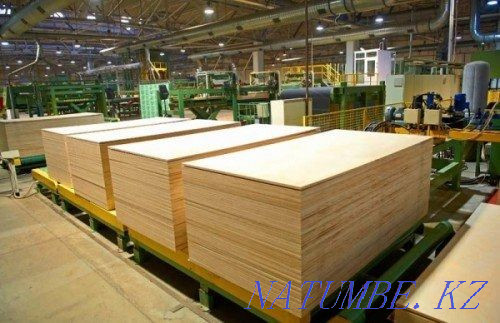Softwood plywood, laminated, OSB, fiberboard Russia  - photo 5