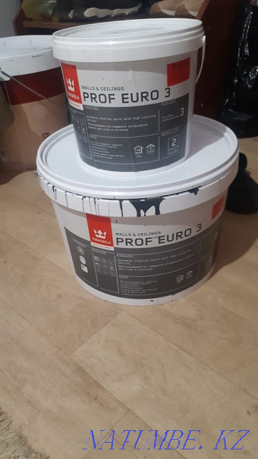 Тикирула бояуы  Астана - изображение 2