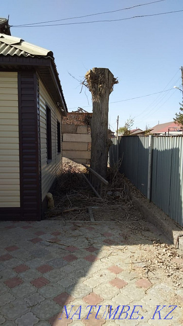 I'll give it to you for wood. . Zhezqazghan - photo 1