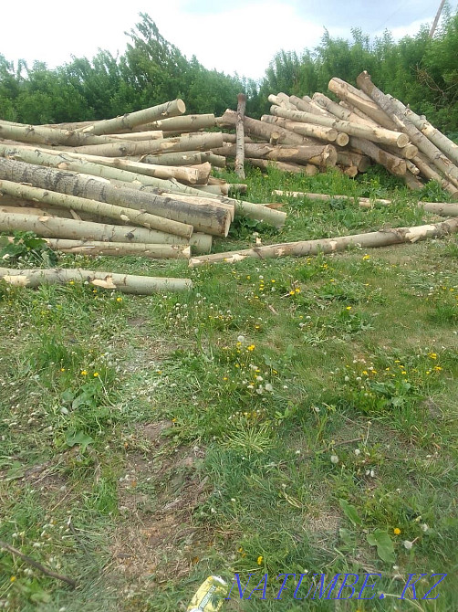 Aspen Ust-Kamenogorsk - photo 2