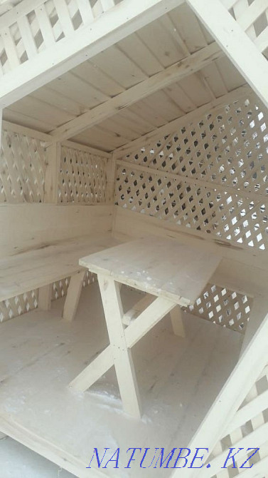 Мен көктеректен ағаш сатамын  - изображение 2