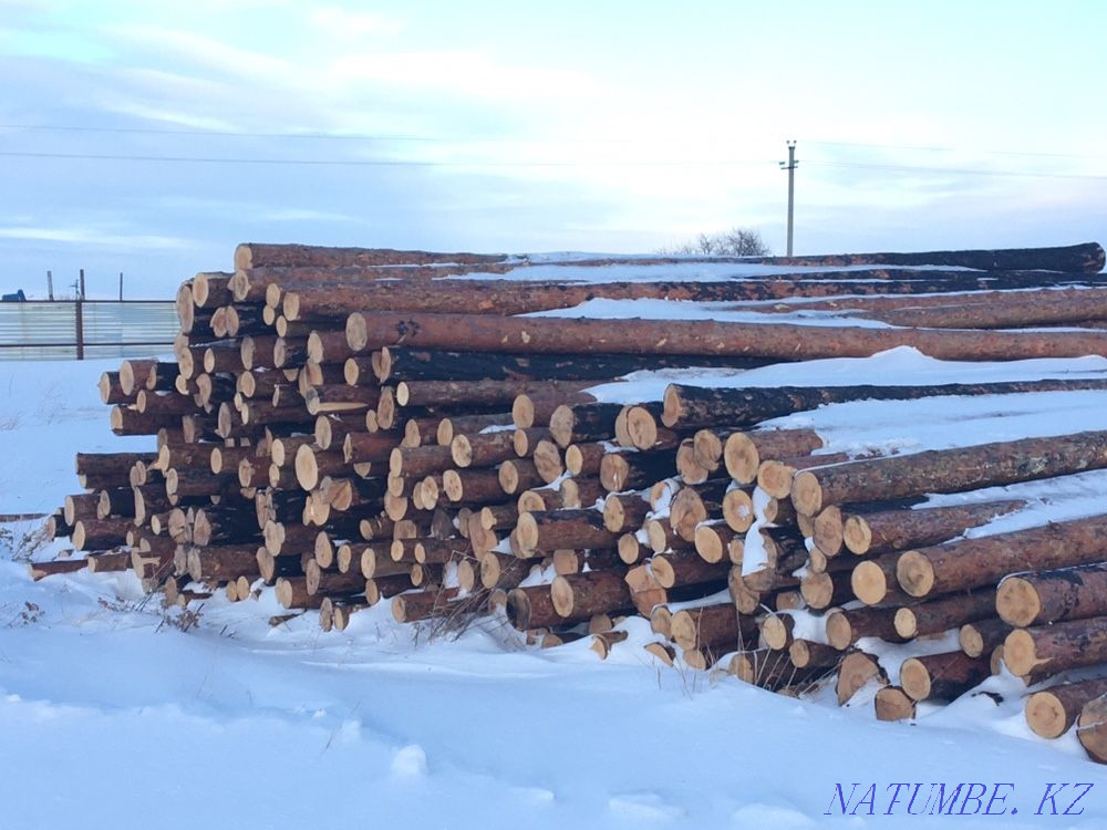 Board.board timber rafters, sawdust 20,000 KAMAZ load ourselves Kostanay - photo 4