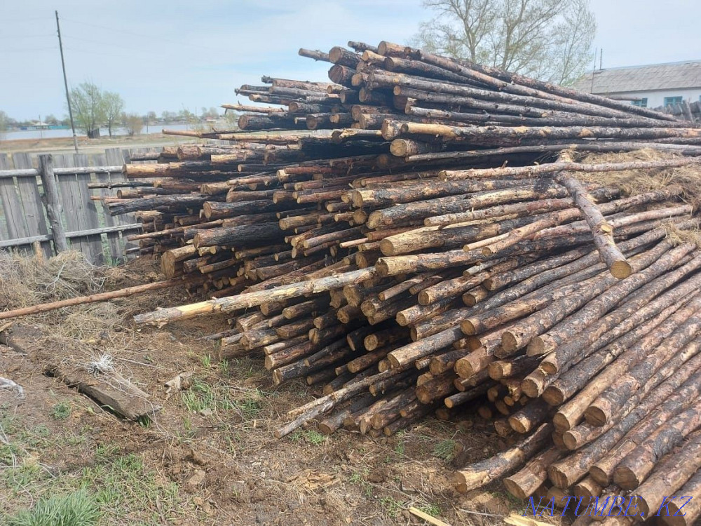Жерди сосновые, длина 6 метров Астана - изображение 1