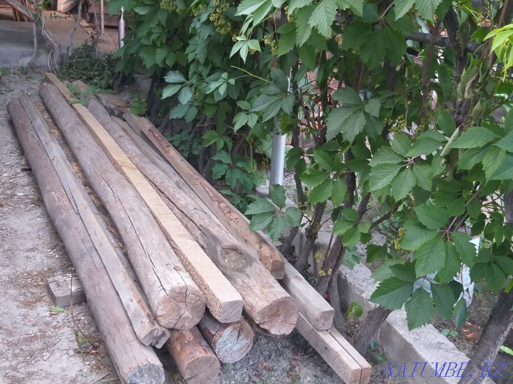 Продаются стропилы, кругляки Байзак - изображение 1