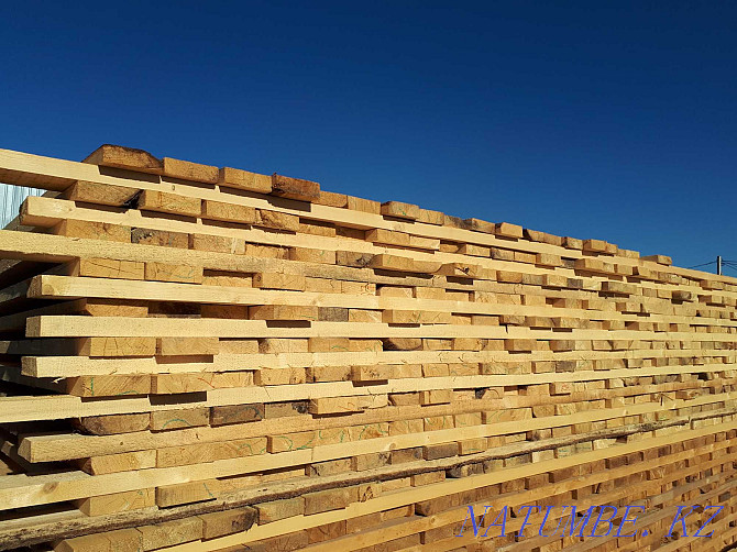 Forest - Planks Beams Rafters Oral - photo 4