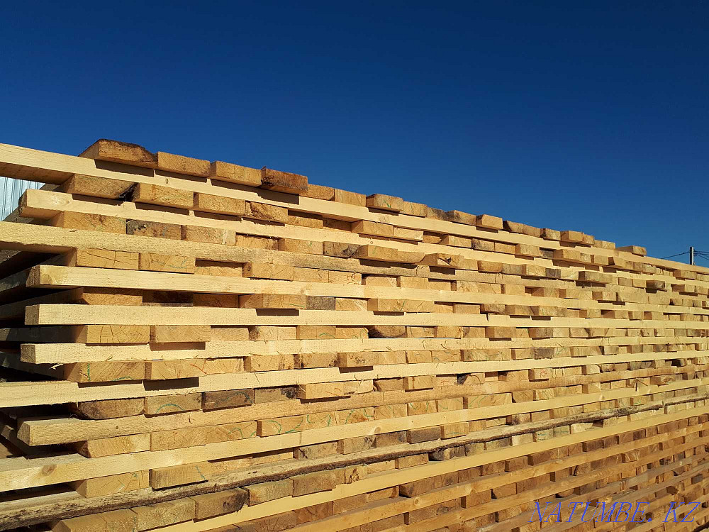 Forest - Planks Beams Rafters Oral - photo 4