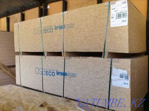 Forest - Planks Beams Rafters Oral - photo 7