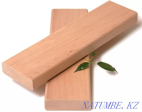 полог липа в Астане Астана - изображение 3