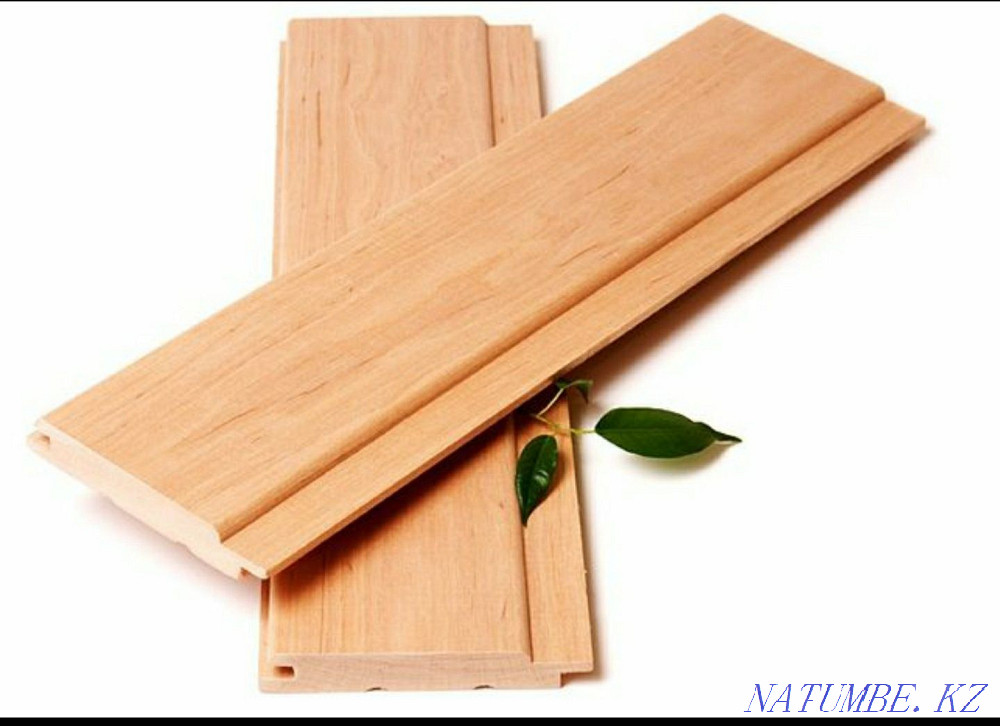 Вагонка липа в Астане Астана - изображение 2