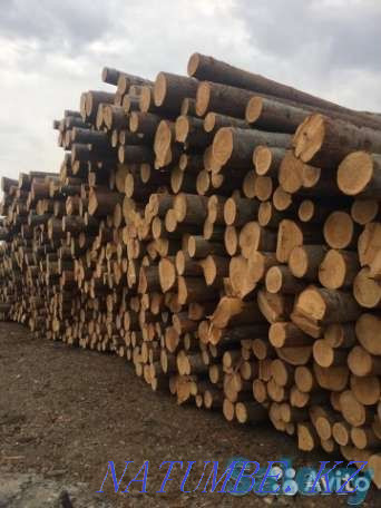 Lumber, lumber, timber, board, eurolining Kokshetau - photo 1