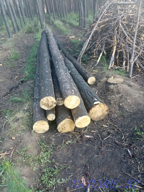 I will sell edged board, unedged disk saw cut, podtovarnik, firewood, Kostanay - photo 6