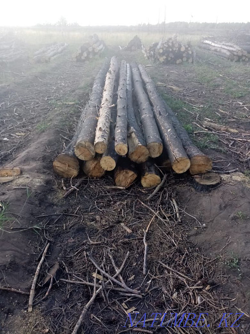 I will sell edged board, unedged disk saw cut, podtovarnik, firewood, Kostanay - photo 5