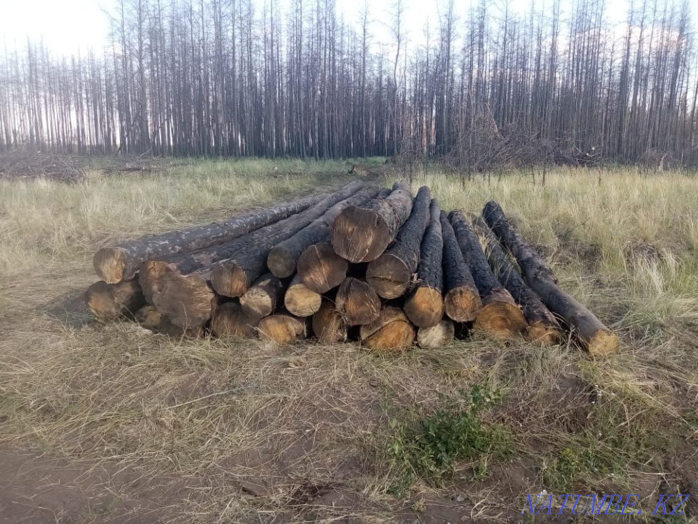 I will sell edged board, unedged disk saw cut, podtovarnik, firewood, Kostanay - photo 8