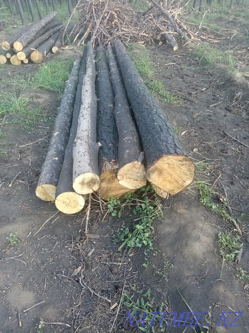 I will sell edged board, unedged disk saw cut, podtovarnik, firewood, Kostanay - photo 7