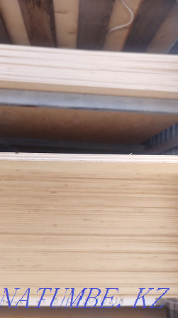 Birch plywood. 1220x2440 Almaty - photo 6
