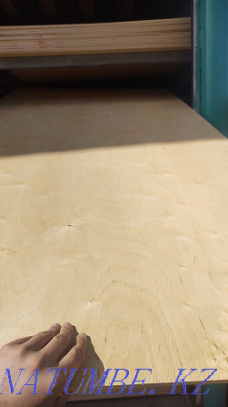 Birch plywood. 1220x2440 Almaty - photo 4