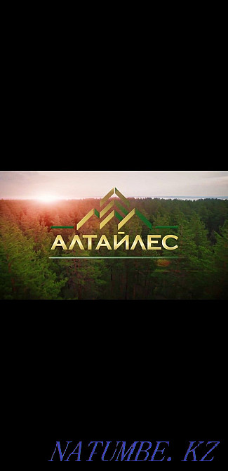 Пиломатериал оптом и в розницу ! Майские скидки!!! Семей - изображение 1