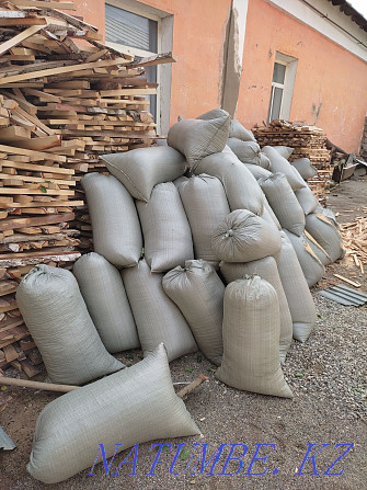 Sawdust 100 tenge Turkestan - photo 1