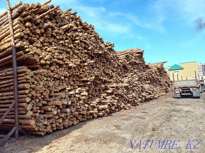 Rafters, beams, bar, board, firewood, timber, unedged board, forest, Semey - photo 1