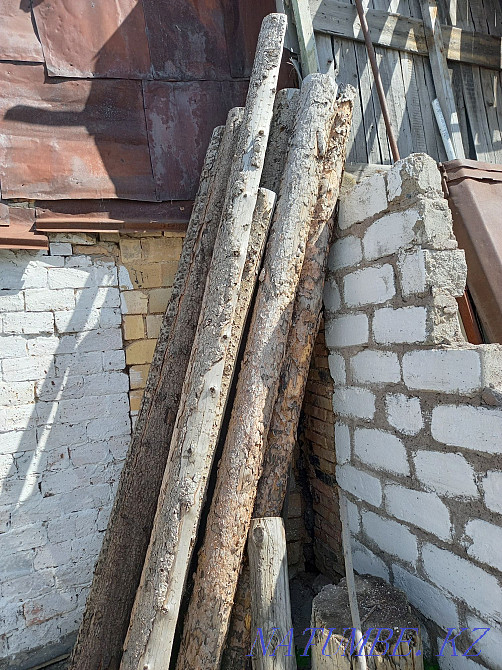 Кругляк 150 по 3 метра Абай - изображение 2