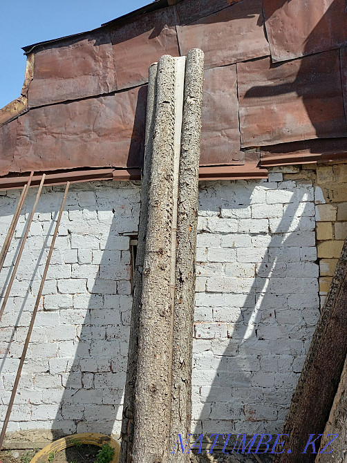 Кругляк 150 по 3 метра Абай - изображение 1