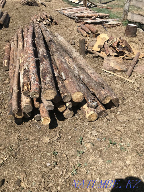 Poles 3-4-6 meter garbyl boards Semey - photo 3