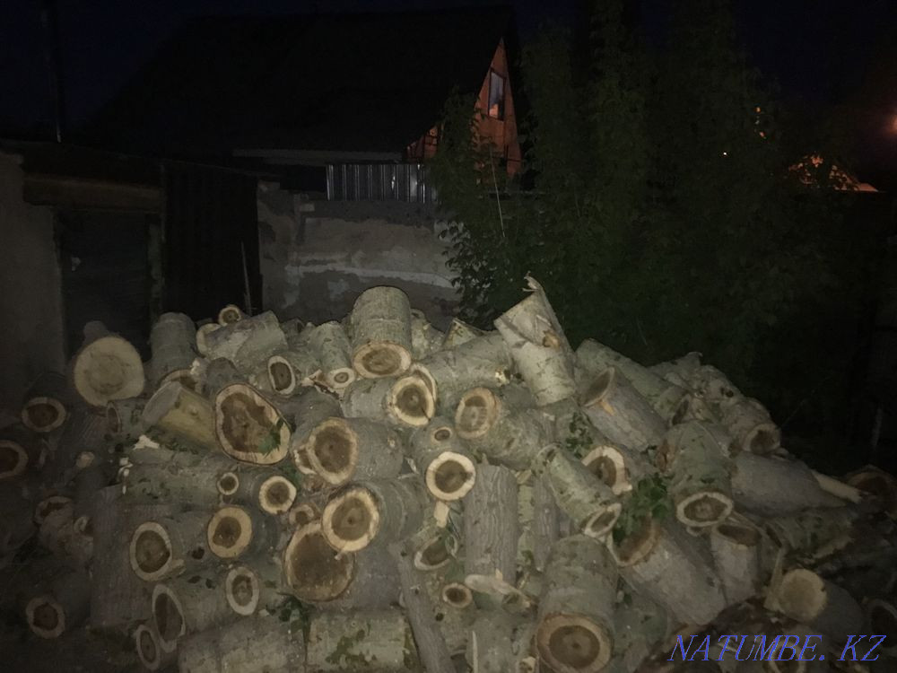 Firewood ready Karagandy - photo 2