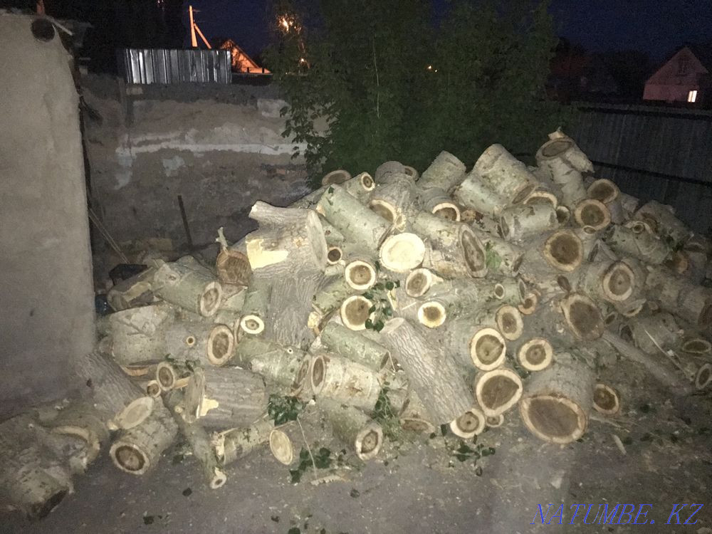 Firewood ready Karagandy - photo 4