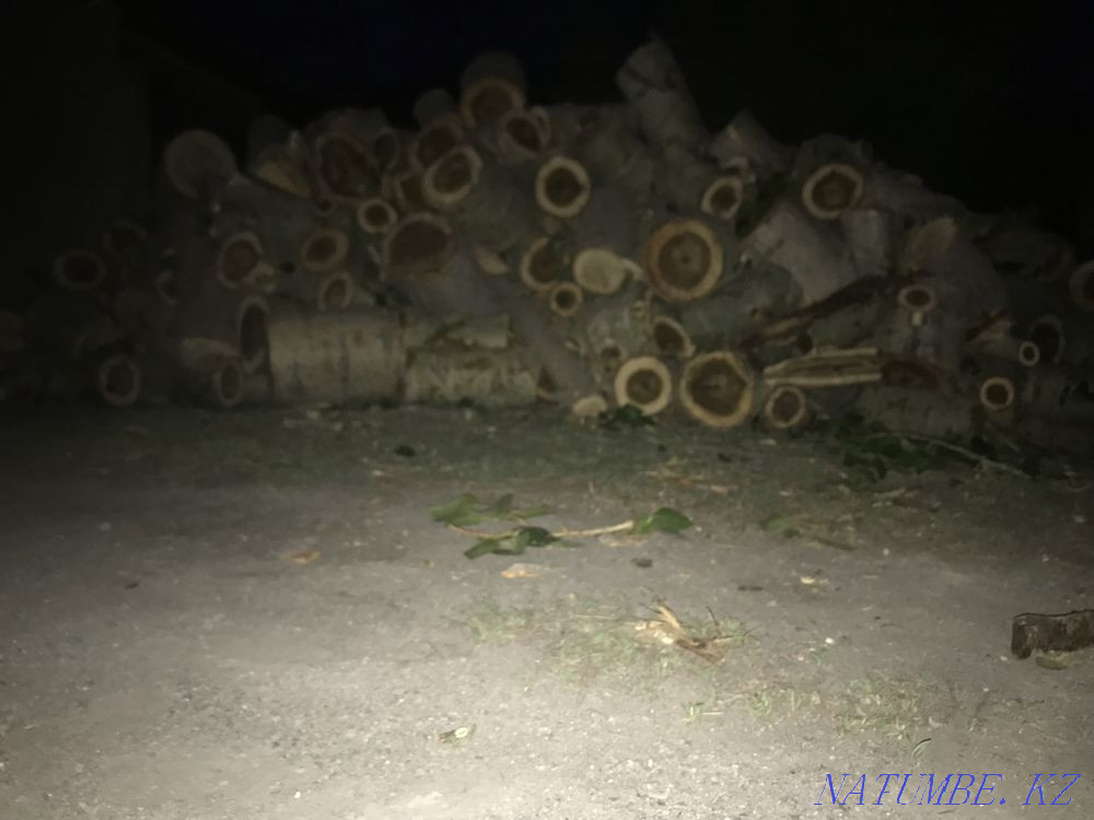 Firewood ready Karagandy - photo 1