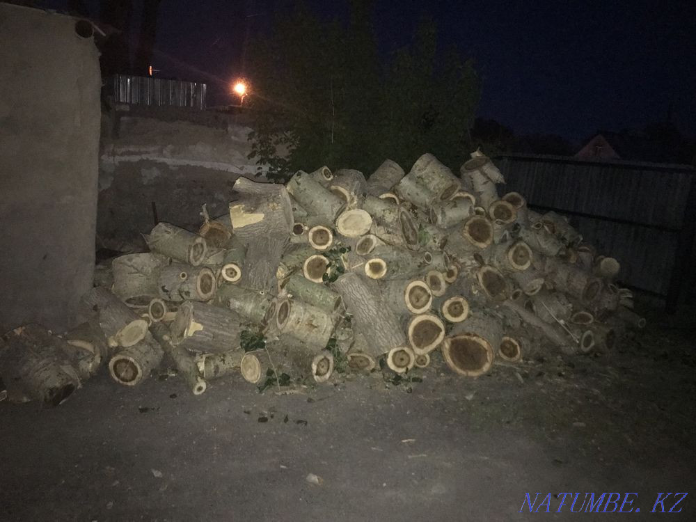Firewood ready Karagandy - photo 3
