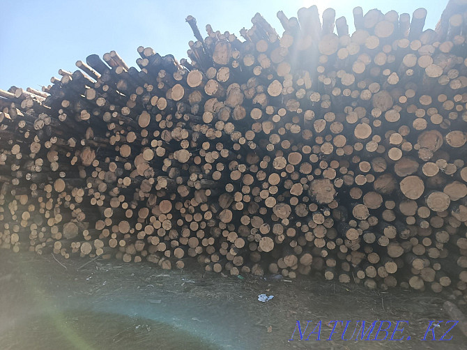 Lumber wholesale and retail Ust-Kamenogorsk - photo 6