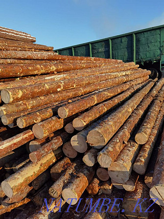 Lumber, lumber, poles podtovarnik Kokshetau - photo 2