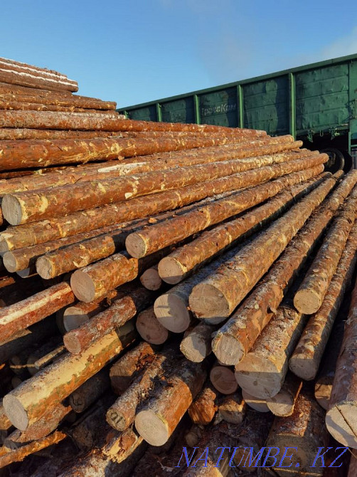Пиломатериал , пиломатериалы ,жерди подтоварник Кокшетау - изображение 2
