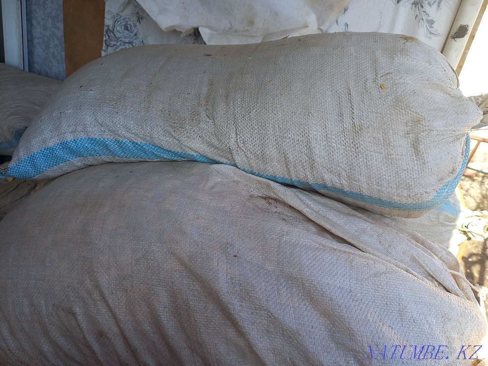 Selling apples Oral - photo 2