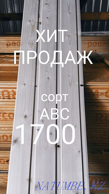 Lining from the Russian pr. Petropavlovsk - photo 4