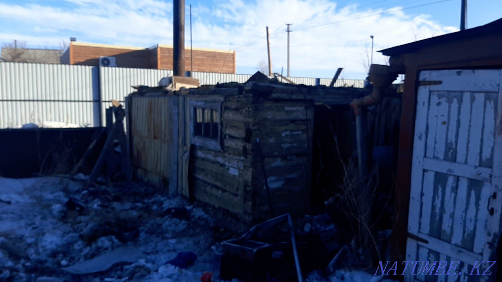 Продам бревна в хорошем состоянии, можно под дрова, не гнилые, Щучинск - изображение 2