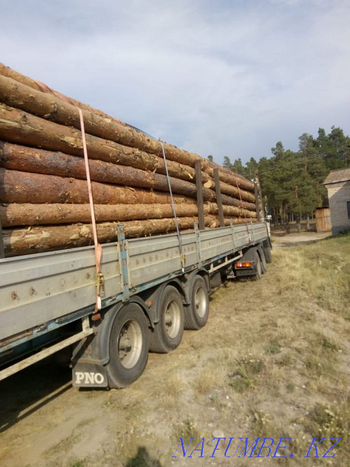 All types of Lumber, Edged board, Unedged, OSV Karagandy - photo 3