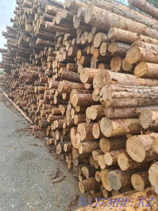 КРУГЛЯК все размеры есть оптом и врозницу. ПИЛОРАМ СВОЯ . Астана - изображение 6