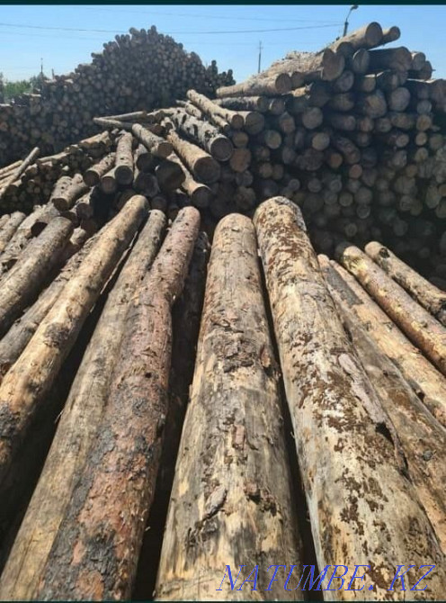 КРУГЛЯК все размеры есть оптом и врозницу. ПИЛОРАМ СВОЯ . Астана - изображение 5