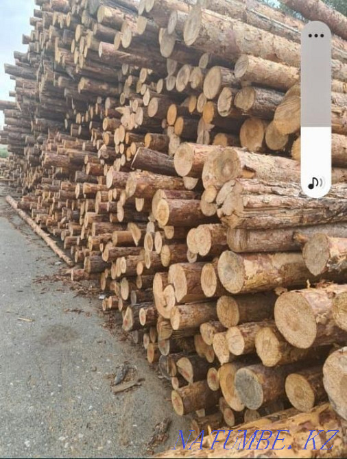 КРУГЛЯК все размеры есть оптом и врозницу. ПИЛОРАМ СВОЯ . Астана - изображение 2