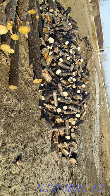 Продам дрова чуркованые 6000 куб рубленные 8000 доставка бесплатно Дружба - изображение 2