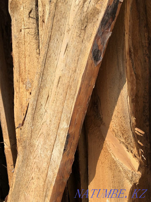 Uncut board Shymkent - photo 3