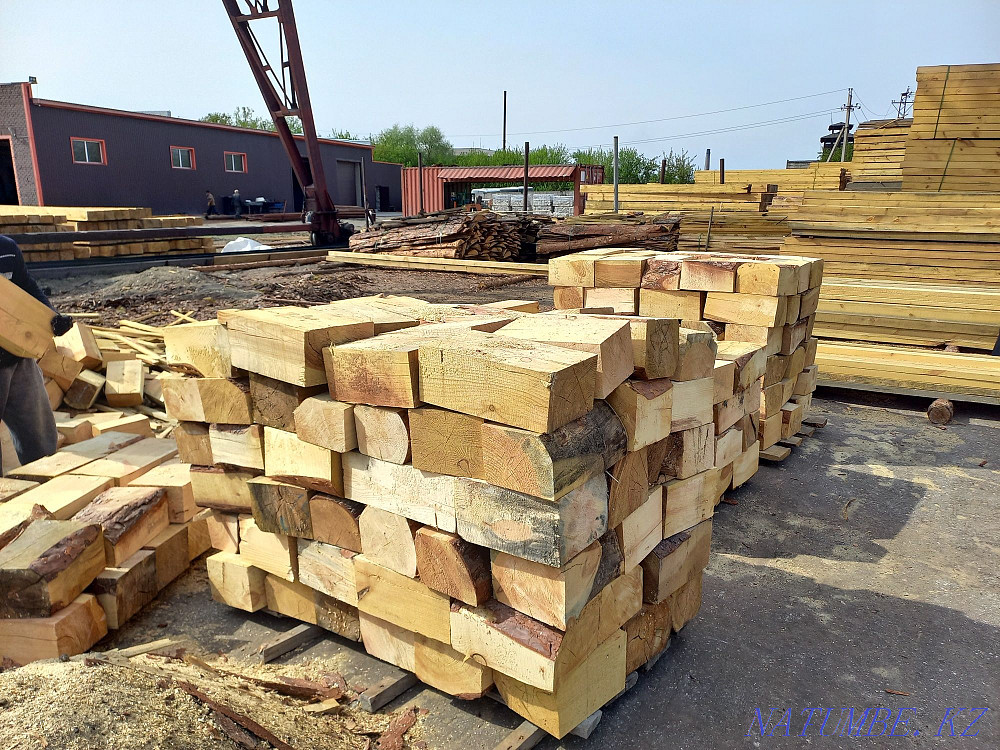 Кесілмеген тақтайшалар, шпалдардан текшелер  отбасы  - изображение 2