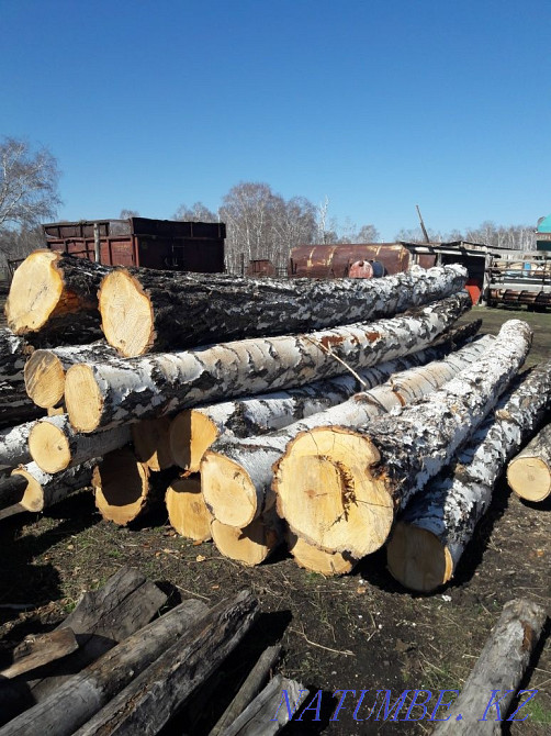 Astau carriage boards lumber lumber cheap Taraz - photo 2