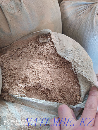 Sawdust from elm Балуана Шолака - photo 1