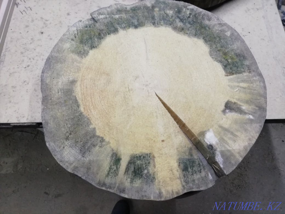 Saw cut pine and larch Kostanay - photo 2